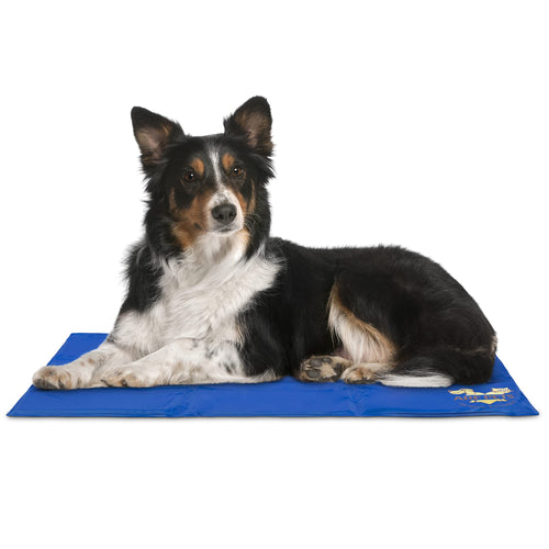 Arf Pets Pet Dog Self Cooling Mat Pad for Kennels Crates and Beds 19 X 35
